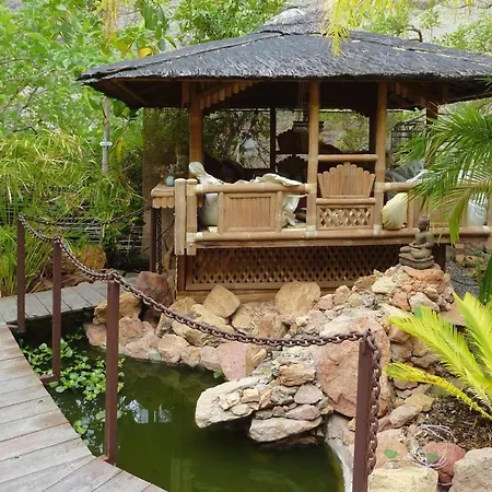Apartment Holiday Jardin Botanico Baranco De Ayagaures - Lpa03012-ayf